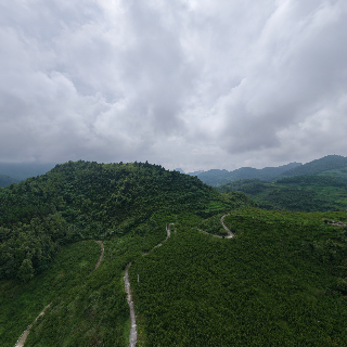 遵义市汇川区松林镇干堰村恒丰蜂糖李种植基地全景