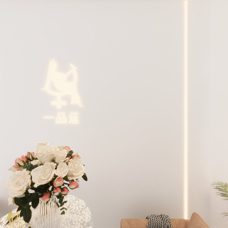 养生2